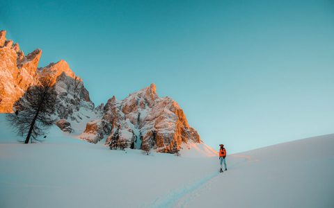 【大拿分享】聊一聊如何提交熊掌号企业权威问答